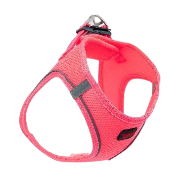 TailPetz Air Mesh Köpek Göğüs Tasması Neon Pembe XL