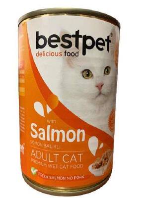 Bestpet Somonlu Jöleli Yetişkin Kedi Konservesi 400 Gr