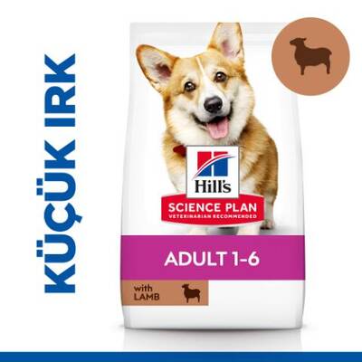 Hills Adult Small Küçük Irk Kuzulu Yetişkin Köpek Maması 6 Kg