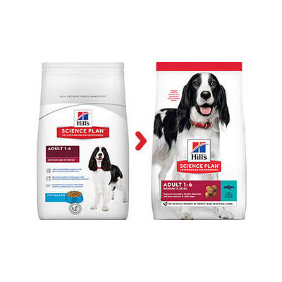 Hills Ton Balıklı Yetişkin Köpek Maması 2,5 Kg