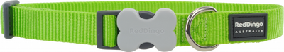 Reddingo Klasik Lime Köpek Boyun Tasması L 25mm 41-63 cm