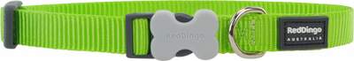 Reddingo Klasik Lime Köpek Boyun Tasması S 15mm 24-36 cm