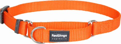 Reddingo Klasik Turuncu Boyun Eğitim Tasması L 25mm 41-63 cm