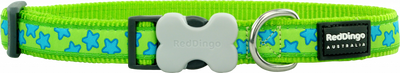 Reddingo Lime Üzerine Turkuaz Yıldızlı Köpek Boyun Tasması S 15mm 24-36 cm