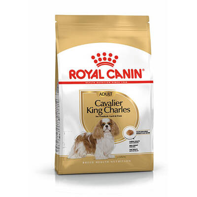 Royal Canin Cavalier King Charles Yetişkin Köpek Maması 1,5 Kg