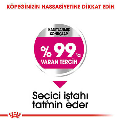 Royal Canin Mini Exigent Yetişkin Köpek Maması 3 Kg